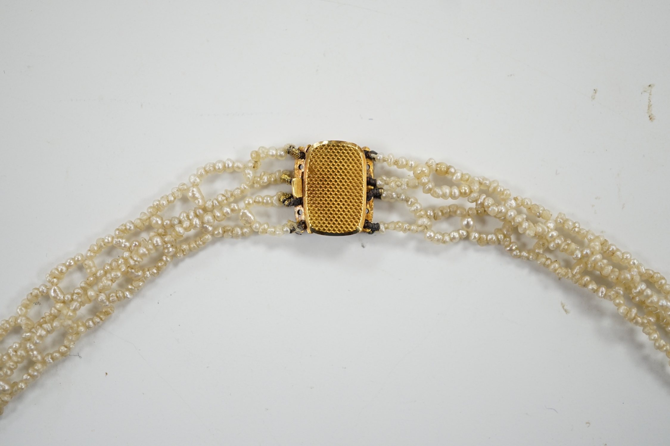 A cased Regency twin strand seed pearl choker necklace with scrolling floral motifs and yellow metal clasp, 34cm.